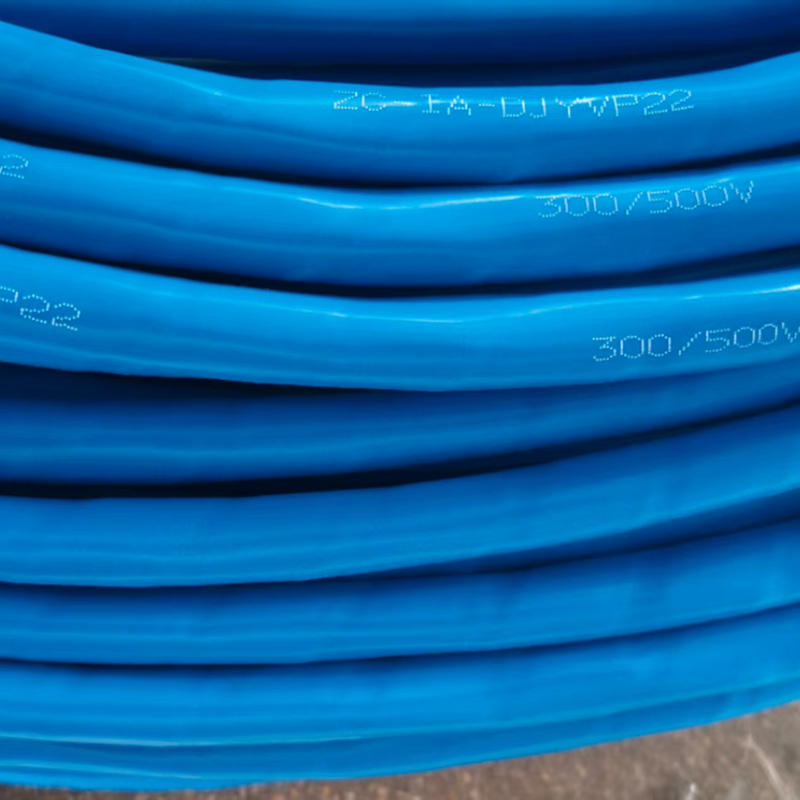 ZC-IA-DJYVP22阻燃計(jì)算機(jī)電纜
